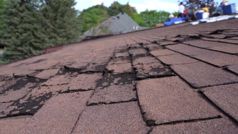 Best Roof Maintenance and Cleaning  in South Greensburg, PA